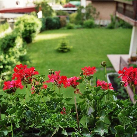 Ferienwohnungen Im Herzen Des Pfaelzerwaldes Elmstein Dış mekan fotoğraf