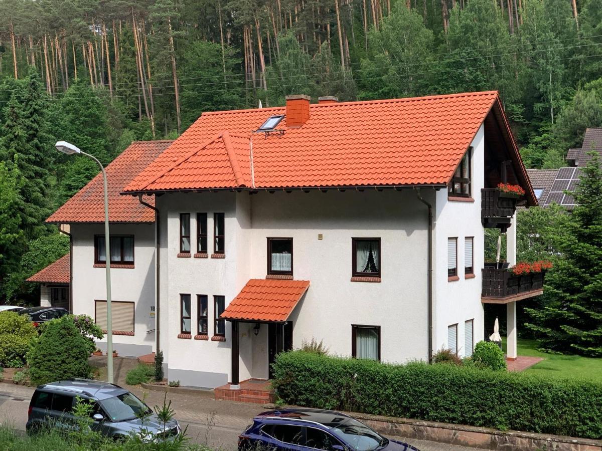 Ferienwohnungen Im Herzen Des Pfaelzerwaldes Elmstein Dış mekan fotoğraf
