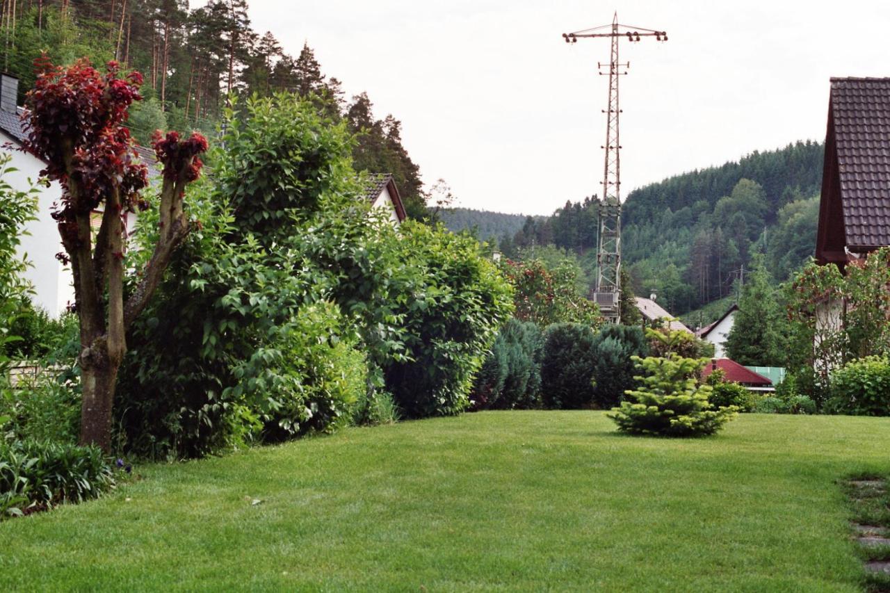 Ferienwohnungen Im Herzen Des Pfaelzerwaldes Elmstein Dış mekan fotoğraf