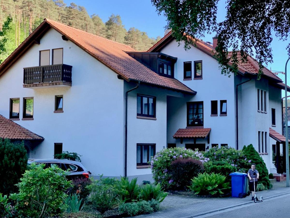 Ferienwohnungen Im Herzen Des Pfaelzerwaldes Elmstein Dış mekan fotoğraf