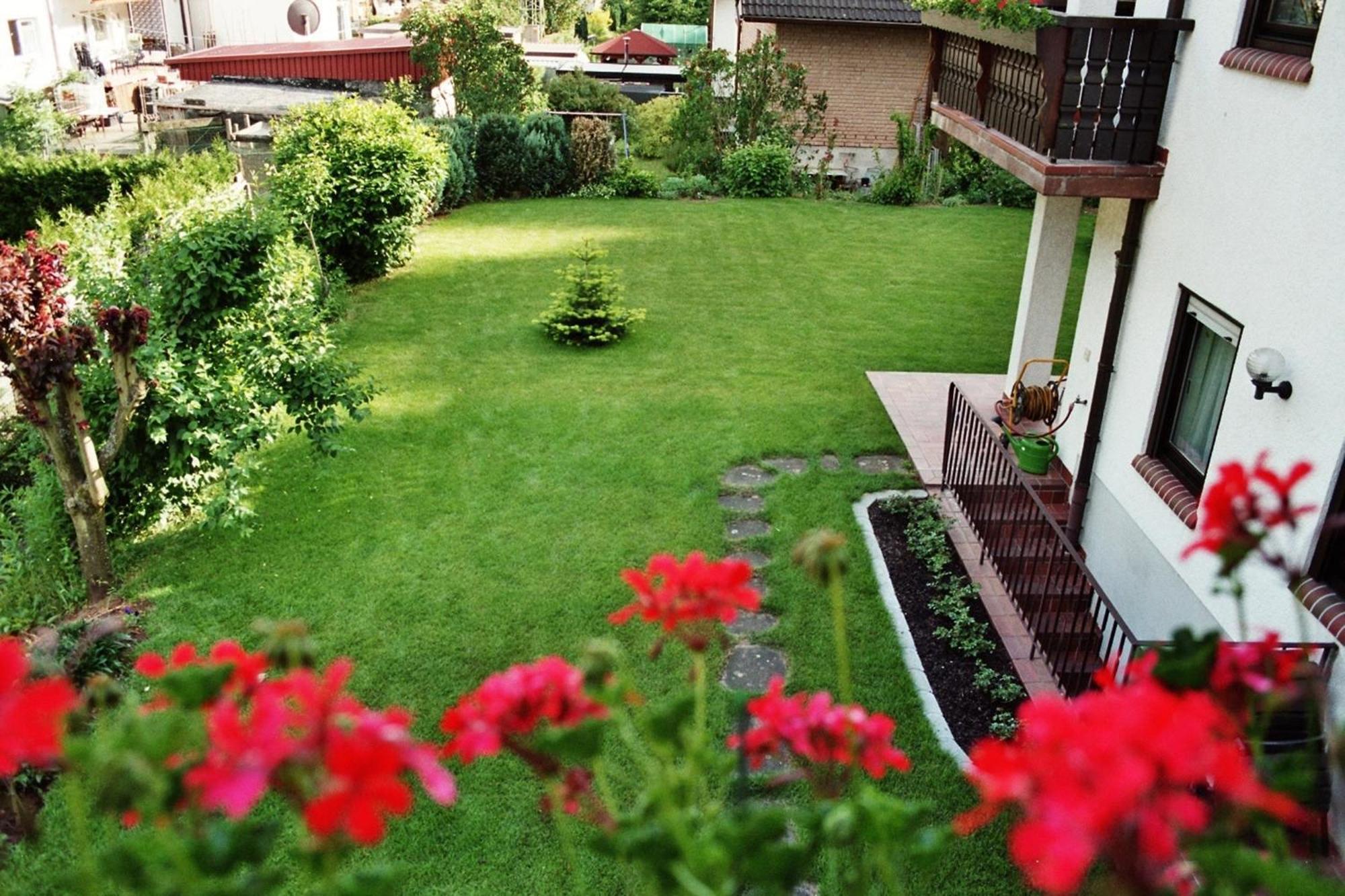 Ferienwohnungen Im Herzen Des Pfaelzerwaldes Elmstein Oda fotoğraf